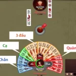 Tổ hợp bài chắn